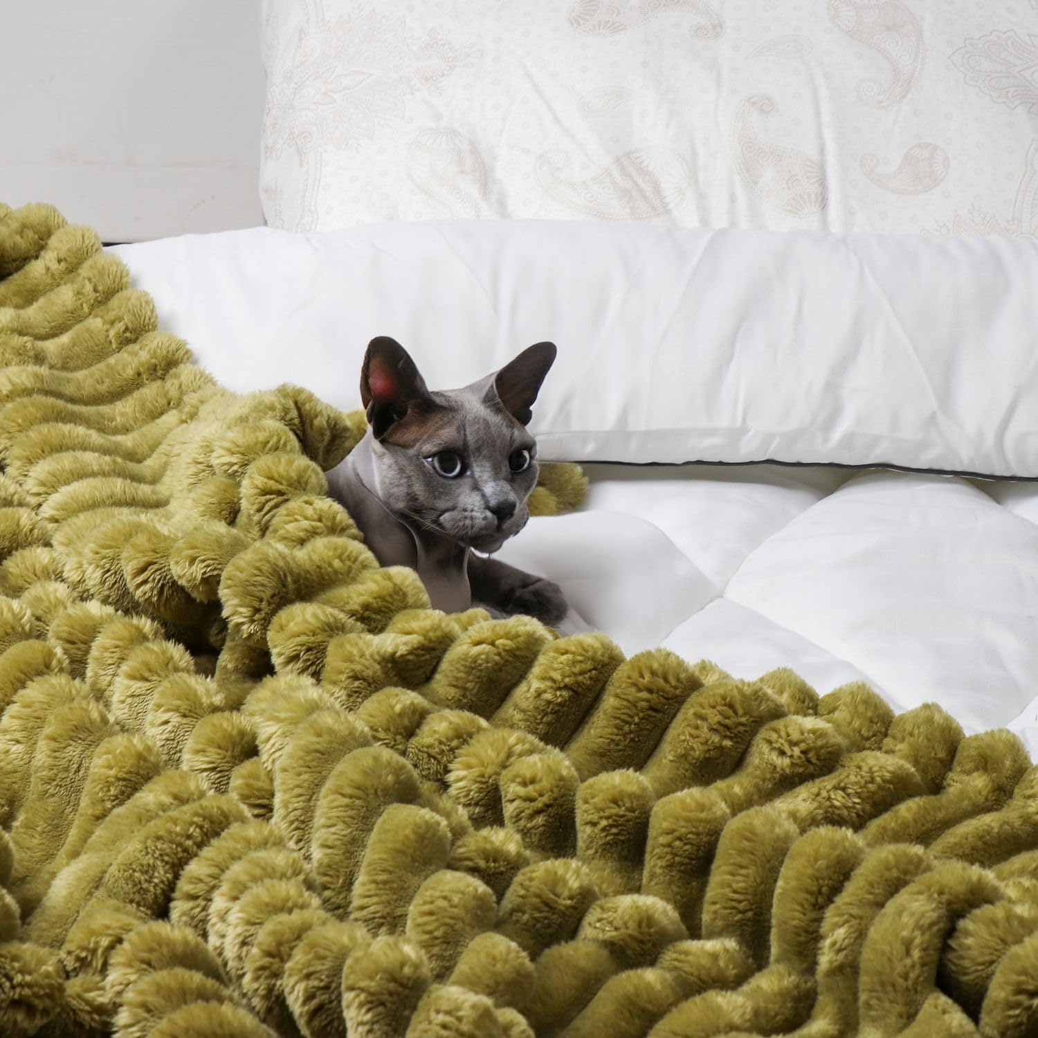 Daniks Olivgrün - Textilien - 3